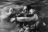 Кадр Акулы и мелкие рыбешки