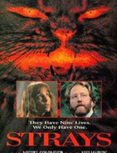 Бездомные твари