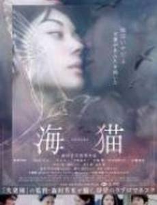 Морской котик