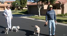 Кадр из фильма "Auf der sicheren Seite" - 2