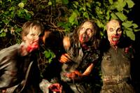 Кадр Земля вампиров