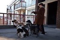 Кадр Маленькие смерти