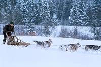 Кадр Железная воля