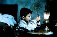 Кадр Новый кинотеатр «Парадизо»