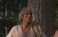 Кадр И на камнях растут деревья