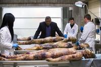 Кадр Ганнибал