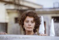 Кадр Необычный день