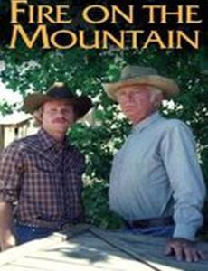 Огонь на горе