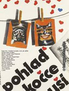 Погладь кошку за ушами