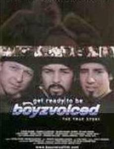 Get Ready to Be Boyzvoiced