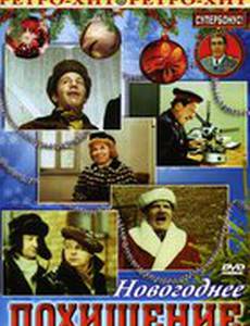 Новогоднее похищение