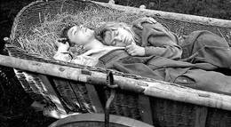 Кадр из фильма "Повозка в Вену" - 1