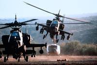 Кадр Огненные птицы