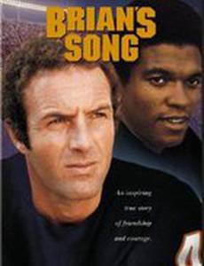 Песня Брайана