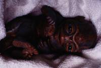 Кадр Космический полицейский участок