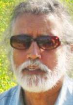 Вик Сарин фото