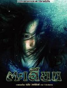 Лесные наблюдатели