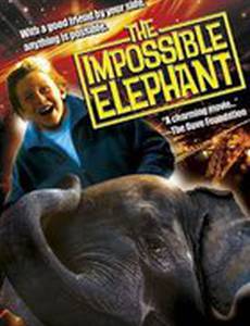 Чудо – слоненок