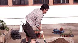 Кадр из фильма "Мой босс, мой учитель" - 2