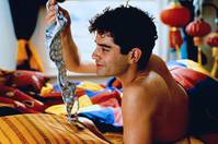 Кадр Мышиная возня