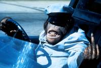 Кадр Гонки «Пушечное ядро» 2