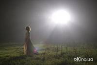 Кадр Таинственный лес