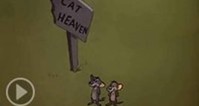 Мультфильм 