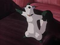 Кадр Принцесса-шаман (видео)