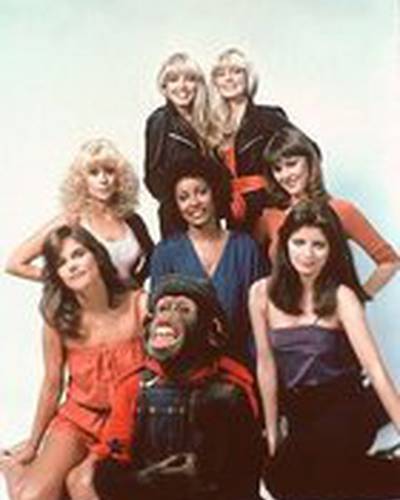 Джуди Лэндерс фото