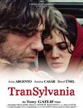 Постер из фильма "Трансильвания" - 1