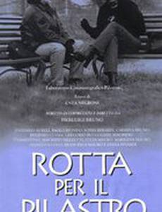 Путь к полюсу