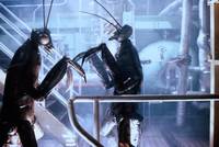 Кадр Познакомьтесь с семьей Эпплгейт