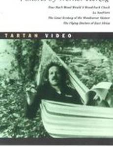 Заметки о новом языке