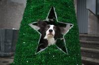 Кадр Ёлки 3