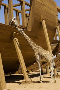 Кадр Эван Всемогущий