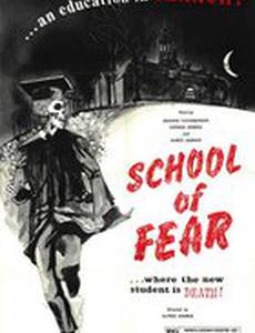 Срок – 7 дней