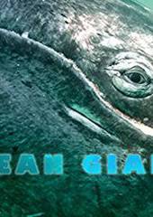 BBC: Морские гиганты