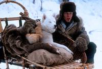 Кадр Железная воля