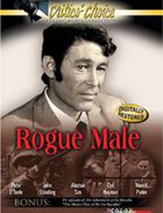 Rogue Male