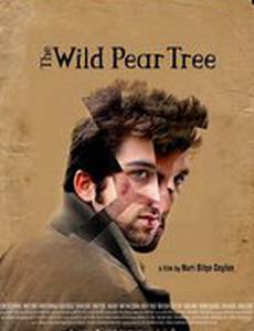 Дикая груша