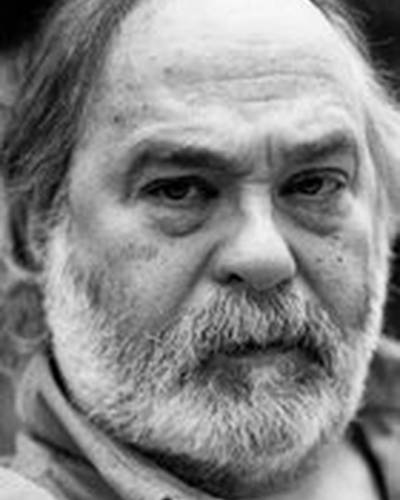 Дмитрий Светозаров фото