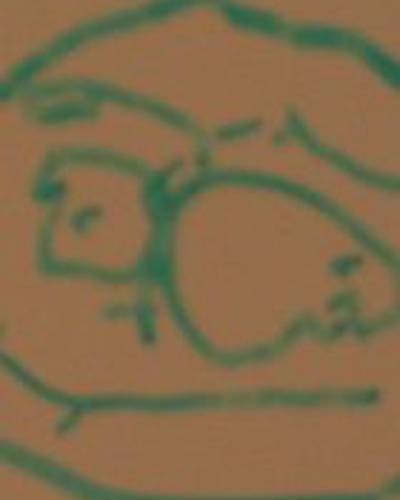 Майк Стасси фото