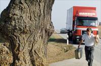 Кадр Новая волна