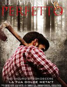 Идеальный муж