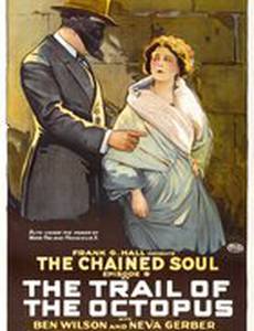 След осьминога