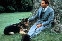 Кадр Дорогу указывает любовь