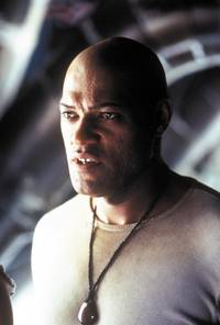 Кадр Матрица