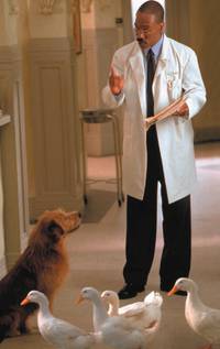 Кадр Доктор Дулиттл 2