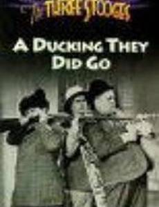 A Ducking They Did Go