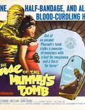 Постер из фильма "Проклятие гробницы мумии" - 1
